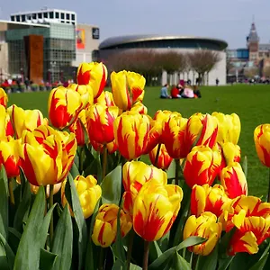 De Hallen Apartamento Ámsterdam